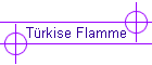 T�rkise Flamme